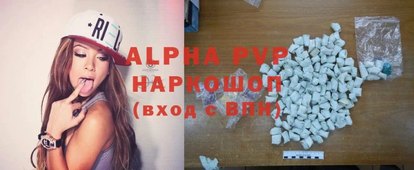 стаф Корсаков