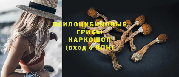 mdpv Костерёво