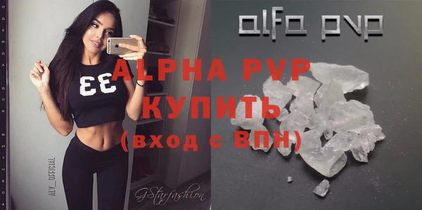 стаф Корсаков