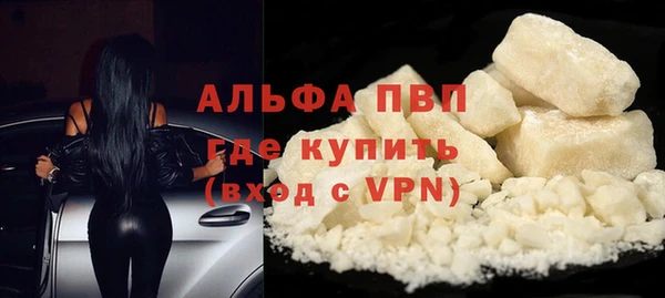 стаф Корсаков