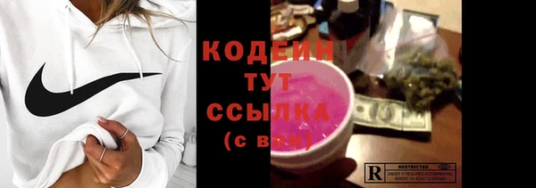 стаф Корсаков