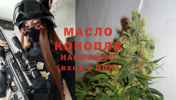 стаф Корсаков