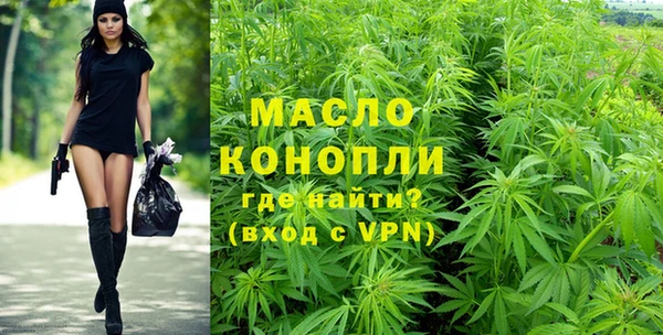стаф Корсаков