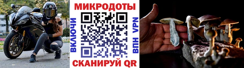 Псилоцибиновые грибы Psilocybe  МЕГА ONION  Чердынь 